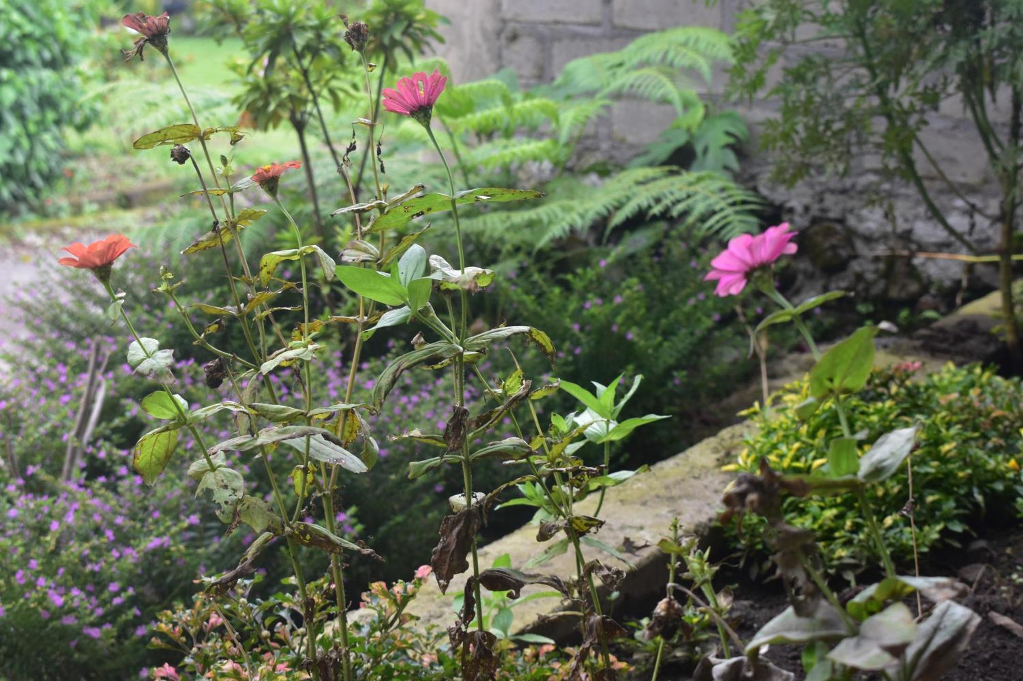 Mama'S Homestay 루텡 외부 사진